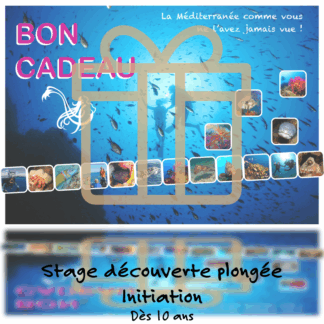 Bon cadeau pour un stage de découverte de la plongée et initiation en Méditerranée, avec des images de la faune marine et des plongeurs.