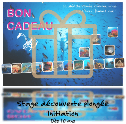 Bon cadeau pour un stage de découverte de la plongée et initiation en Méditerranée, avec des images de la faune marine et des plongeurs.