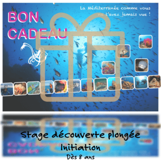 Bon cadeau pour un stage de découverte de la plongée et initiation en Méditerranée, avec des images de la faune marine et des plongeurs.