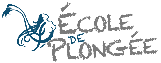 PSDiving, école de plongée sous-marine en bouteille.