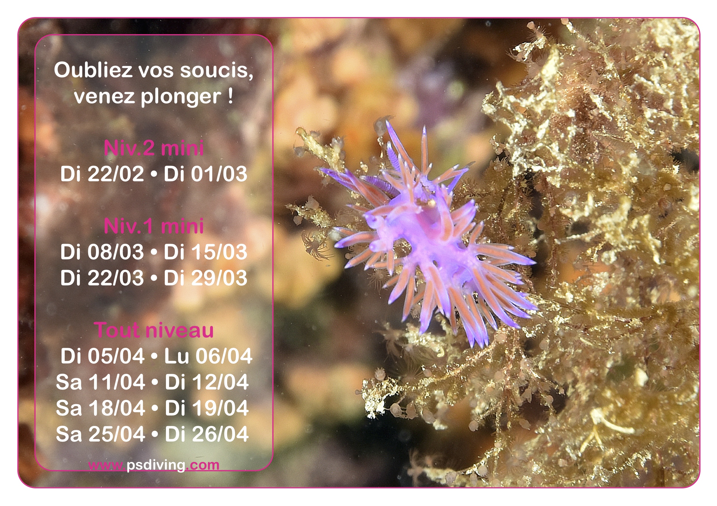 Planning des plongées Mars/Avril 2026 de Nice à Antibes